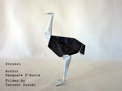 Photo Origami Ostrich (Struzzo), Author : Pasquale DAuria, Folded by Tatsuto Suzuki